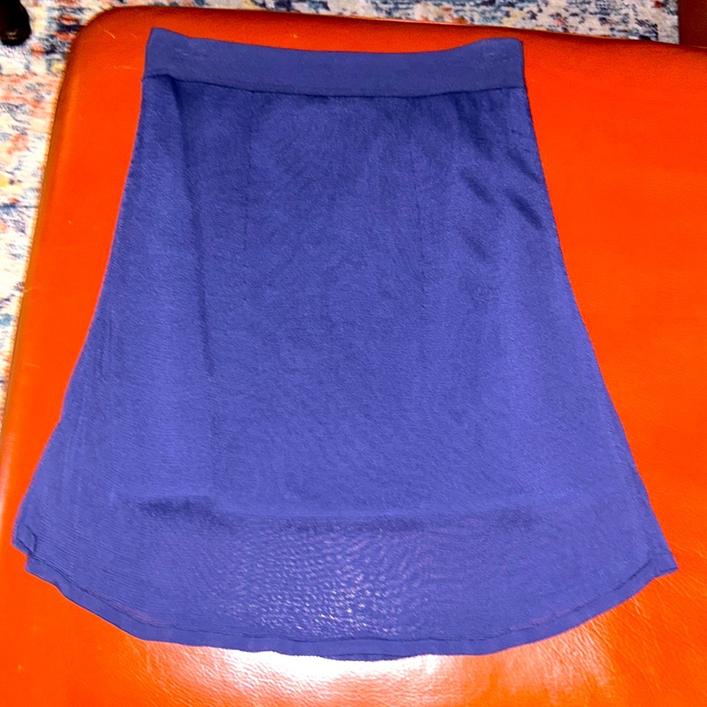 EUC Beautiful T by Alexander Wang Blue mini skirt Size Small
